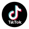 Tiktok Video Downloader Online - ဒေါင်းလုဒ် Tiktok ဗီဒီယိုများ